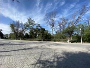 Terreno en venta en San Lorenzo Teotipilco, Tehuacán — foto 2 de 2