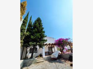 Casa en renta en San Felipe del Agua, Oaxaca de Juárez — foto 3 de 16