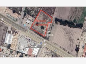 Terreno en renta en San Lorenzo Teotipilco, Tehuacán — foto 2 de 2