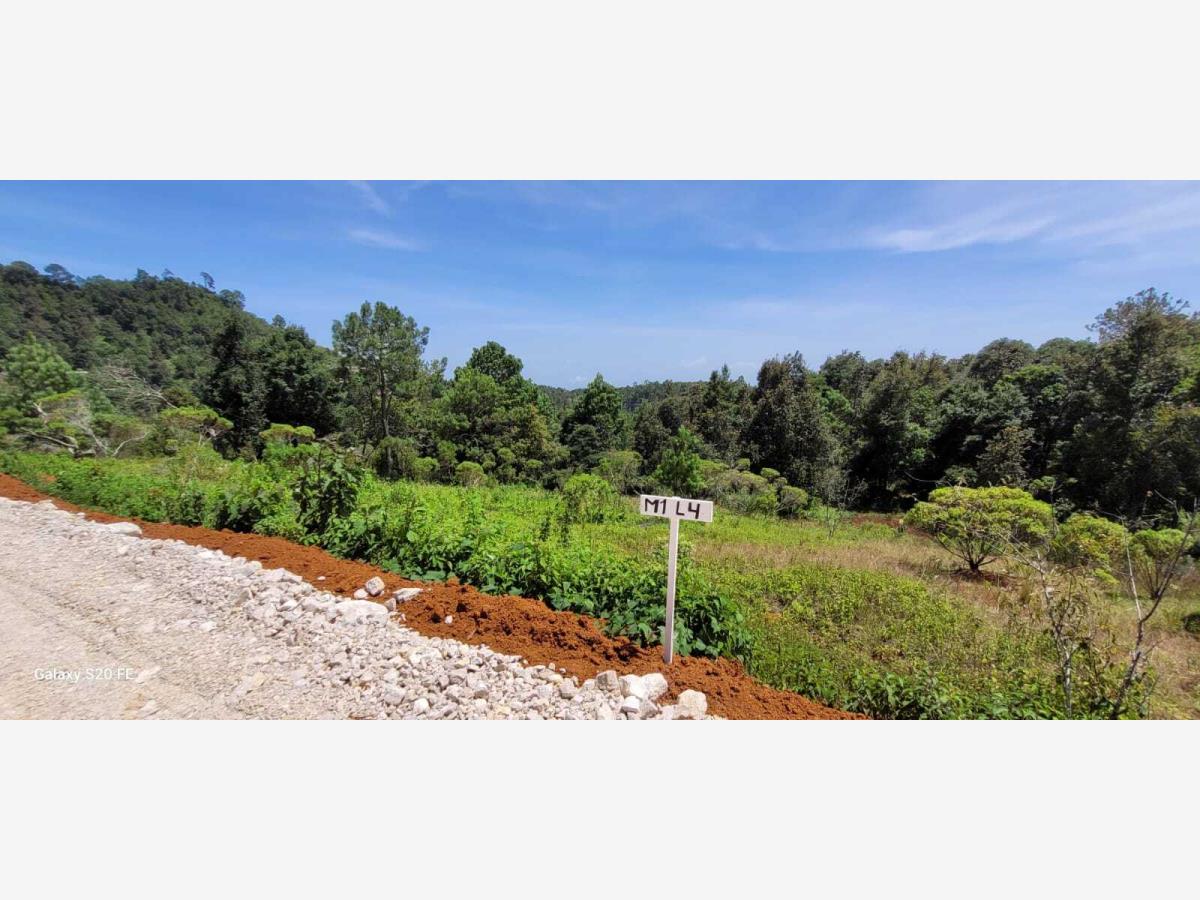 Terreno en venta en El Pinar, San Cristóbal de las Casas — foto 1 de 4