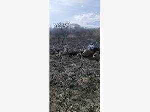 Terreno en venta en Solear Poniente, Morelia — foto 3 de 8