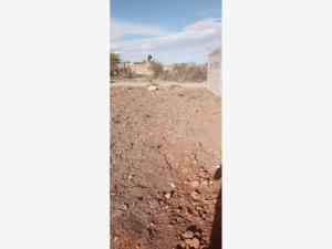 Terreno en venta en Mezquitillos, Guadalupe — foto 3 de 9