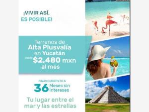 Terreno en venta en Kinchil, Kinchil — foto 3 de 5