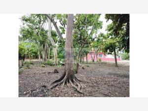Terreno en venta en Medellin y Pigua 3ra. Sección, Centro — foto 2 de 4