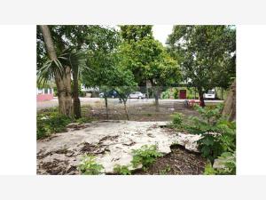 Terreno en venta en Medellin y Pigua 3ra. Sección, Centro — foto 3 de 4