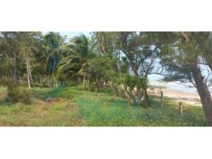 Terreno en venta en Barra Norte, Tuxpan — foto 3 de 11