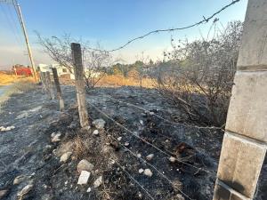 Terreno en venta en Lomas de Tzompantle, Cuernavaca — foto 2 de 11
