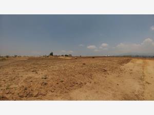 Terreno en venta en El Tecolote, Cuernavaca — foto 3 de 26