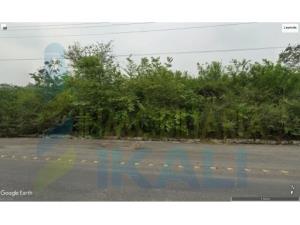 Terreno en venta en Buenos Aires, Tuxpan — foto 2 de 8