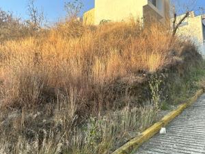 Terreno en venta en Lomas de Tzompantle, Cuernavaca — foto 2 de 7