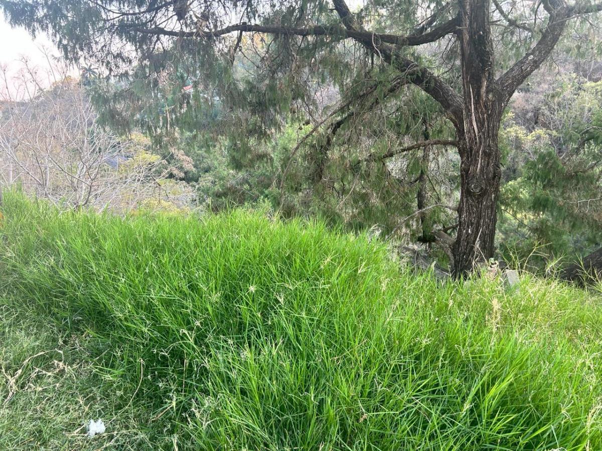 Terreno en venta en Lomas de Tzompantle, Cuernavaca — foto 1 de 13