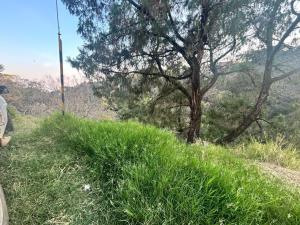 Terreno en venta en Lomas de Tzompantle, Cuernavaca — foto 3 de 13