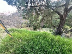 Terreno en venta en Lomas de Tzompantle, Cuernavaca — foto 3 de 13
