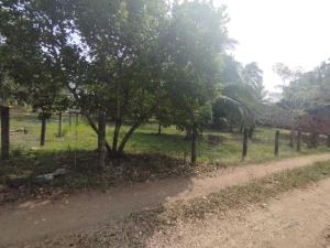 Terreno en venta en Tinajitas, Actopan, Veracruz de Ignacio de la Llave