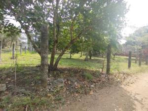 Terreno en venta en Tinajitas, Actopan — foto 2 de 7