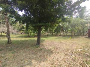 Terreno en venta en Tinajitas, Actopan — foto 3 de 7