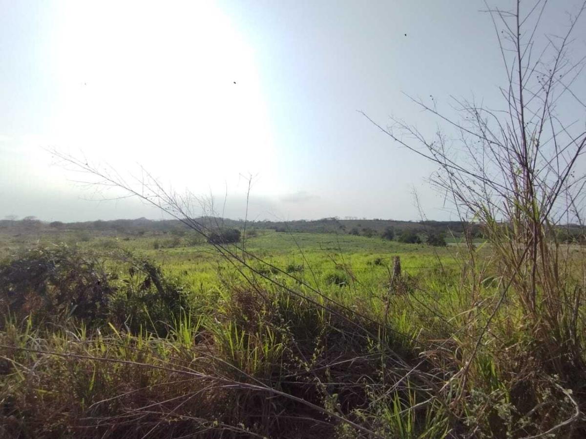 Terreno en venta en Loma Iguana, La Antigua — foto 1 de 6