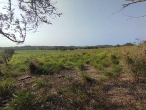 Terreno en venta en Loma Iguana, La Antigua — foto 2 de 6