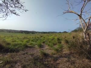 Terreno en venta en Loma Iguana, La Antigua — foto 3 de 6