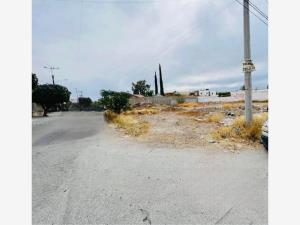 Terreno en renta en Navarro, Torreón — foto 2 de 3