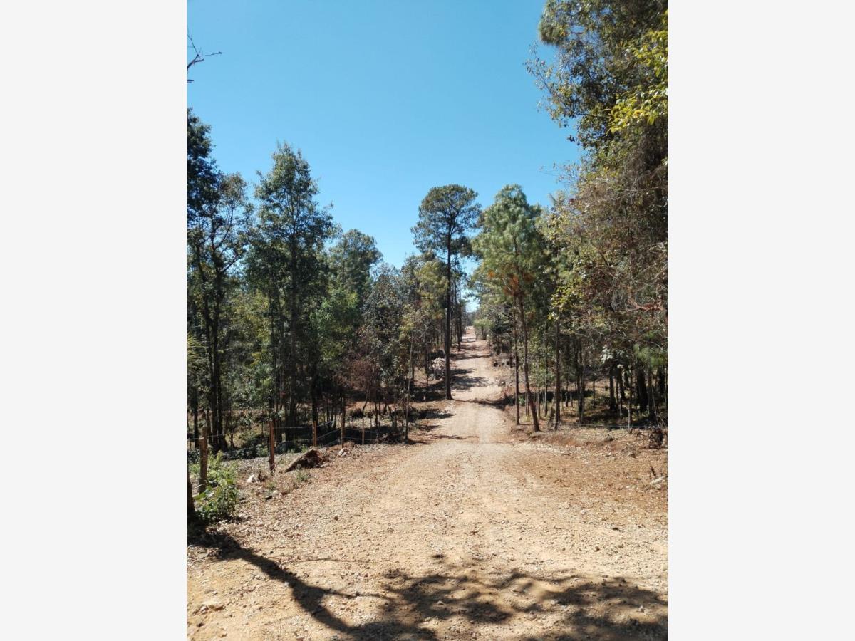 Terreno en venta en Maria Auxiliadora, San Cristóbal de las Casas — foto 1 de 14
