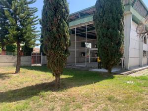 Terreno en venta en Actipac, San Andrés Cholula — foto 3 de 31