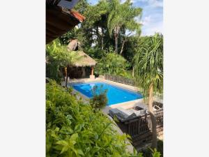 Casa en renta en Palmira, Cuernavaca — foto 3 de 58