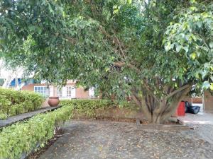 Edificio en venta en Lomas de Tzompantle, Cuernavaca — foto 2 de 23