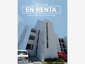 Departamento en renta en Lomas de Angelópolis, San Andrés Cholula, Puebla Departamento en renta en Lomas de Angelópolis, San Andrés Cholula, Puebla