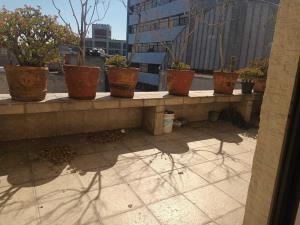 Consultorio en renta en Ciudad Satelite, Naucalpan de Juárez — foto 3 de 13