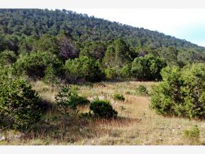 Terreno en venta en Jame, Arteaga, Coahuila de Zaragoza Terreno en venta en Jame, Arteaga, Coahuila de Zaragoza