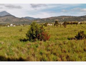 Terreno en venta en Jame, Arteaga — foto 3 de 4