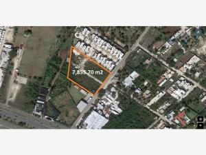 Terreno en Cholul, Mérida, Yucatán