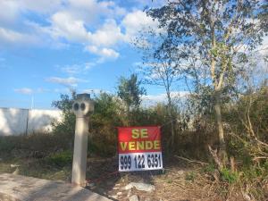Terreno en venta en Conkal, Conkal — foto 3 de 9