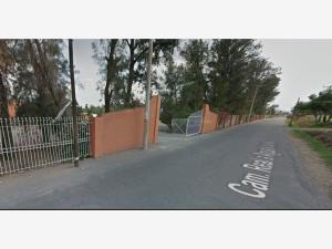 Casa en venta en Altus Bosques, Tlajomulco de Zúñiga — foto 3 de 14