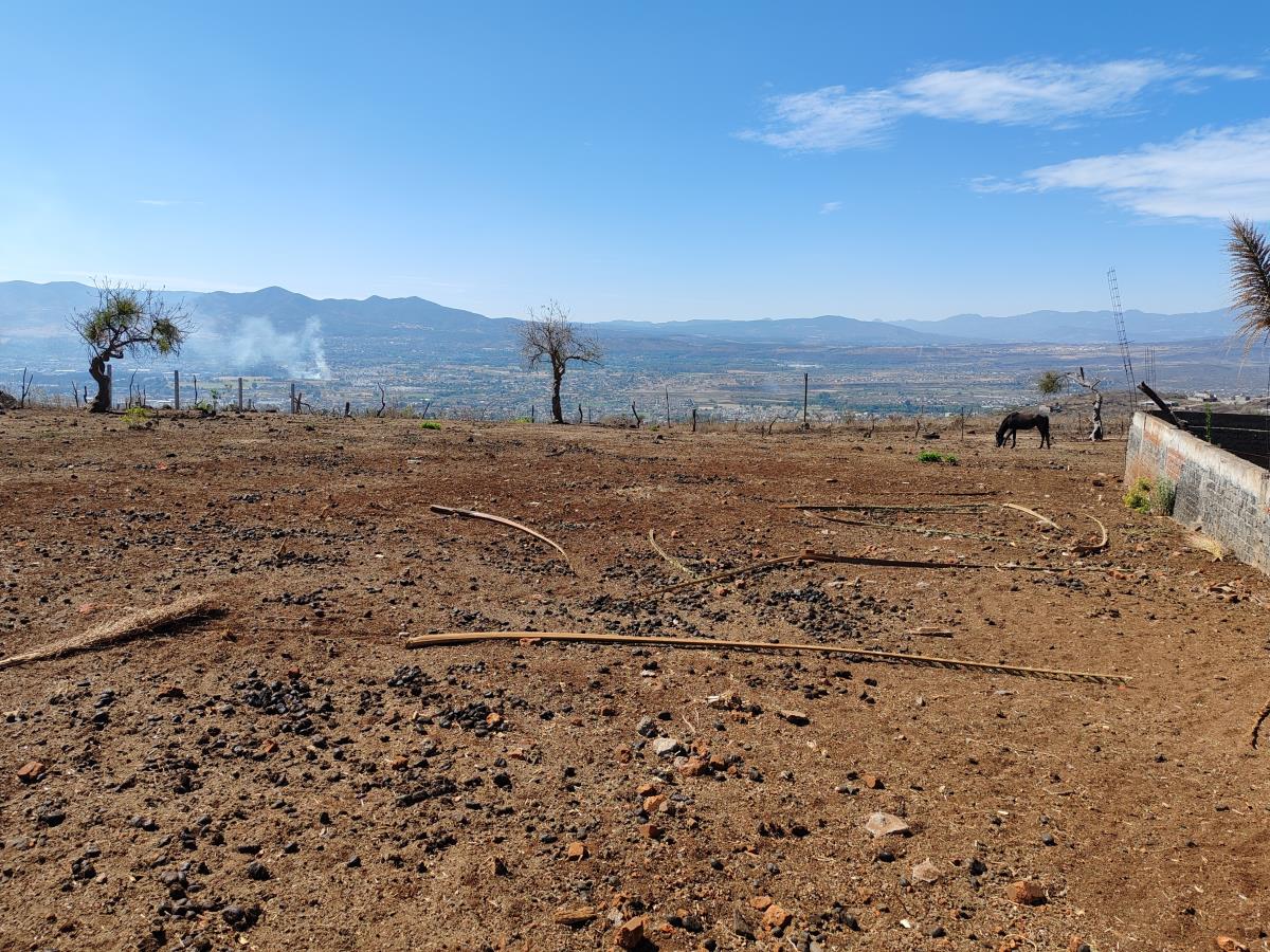 Terreno en venta en Los Llanos, Morelia — foto 1 de 4
