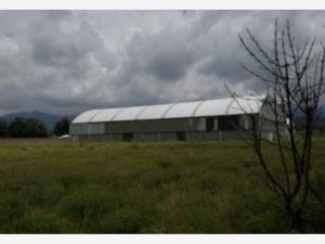 Bodega en venta en Los Volcanes, Amecameca, México
