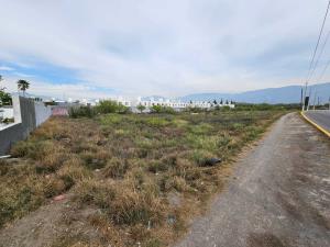 Terreno en renta en Luis Donaldo Colosio, Saltillo, Coahuila de Zaragoza