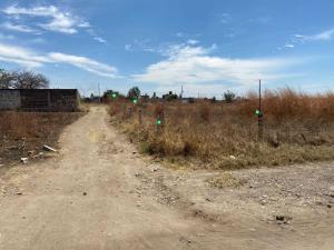 Terreno en venta en Tierra Larga, Cuautla — foto 3 de 3