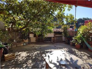 Casa en renta en Ahuatepec, Cuernavaca — foto 2 de 13