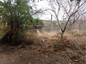 Terreno en venta en Club de Golf Santa Fe, Xochitepec — foto 3 de 8