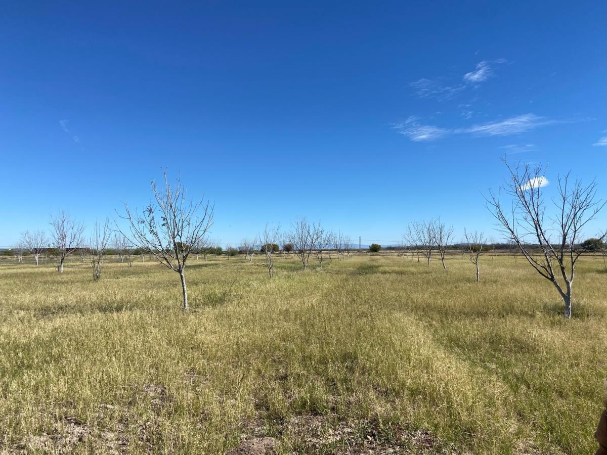 Terreno en venta en Concordia (La Rosita), San Pedro — foto 1 de 5