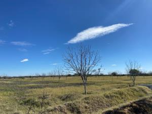 Terreno en venta en Concordia (La Rosita), San Pedro — foto 3 de 5
