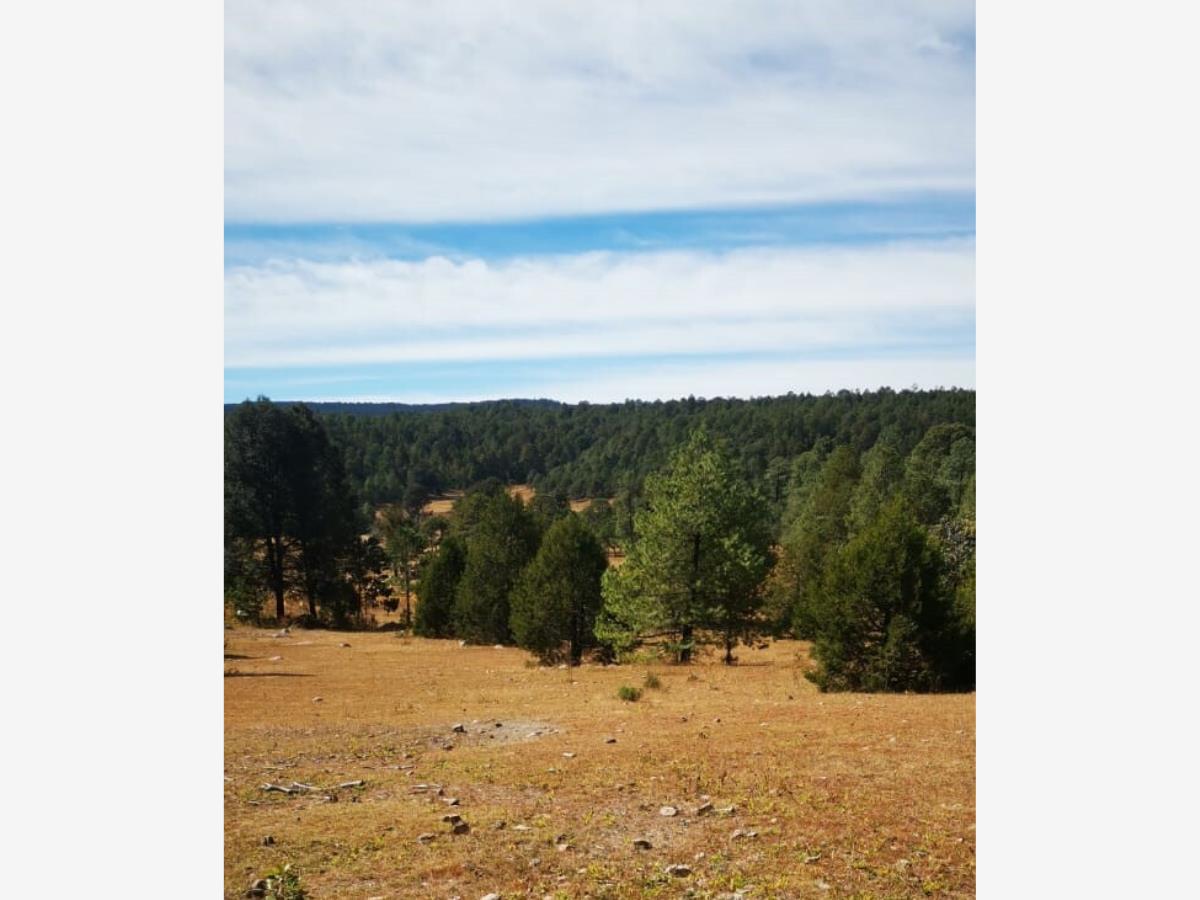 Terreno en venta en El Salto Centro, Pueblo Nuevo — foto 1 de 11