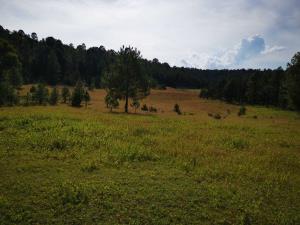 Terreno en venta en El Salto Centro, Pueblo Nuevo — foto 2 de 11