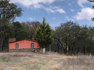 Terreno en venta en San Pablo Ojo de Agua, Huasca de Ocampo — foto 2 de 12