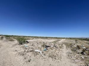 Terreno en venta en Ampliación Senderos, Torreón — foto 3 de 5