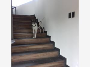 Casa en venta en Llanos de Jesús Tlatempa, San Pedro Cholula — foto 2 de 13