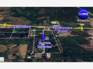 Quinta en venta en Coronel Traconis 1ra Sección (La Isla), Centro — foto 2 de 20