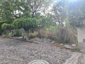 Terreno en venta en Las Palmas, Cuernavaca — foto 2 de 8